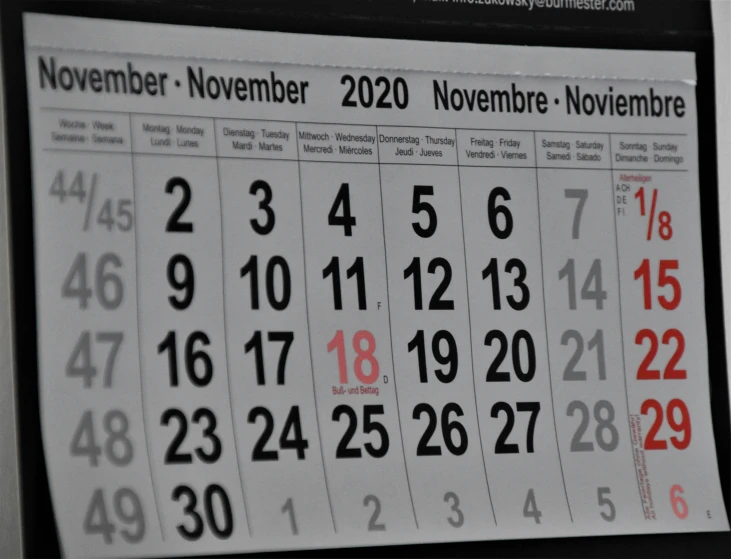 a calendar showing the dates of november and november