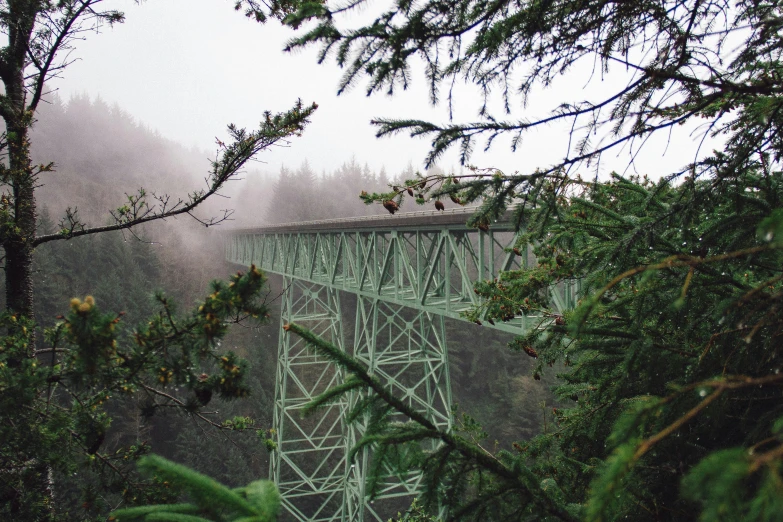 a po taken of the suspension bridge on a foggy day