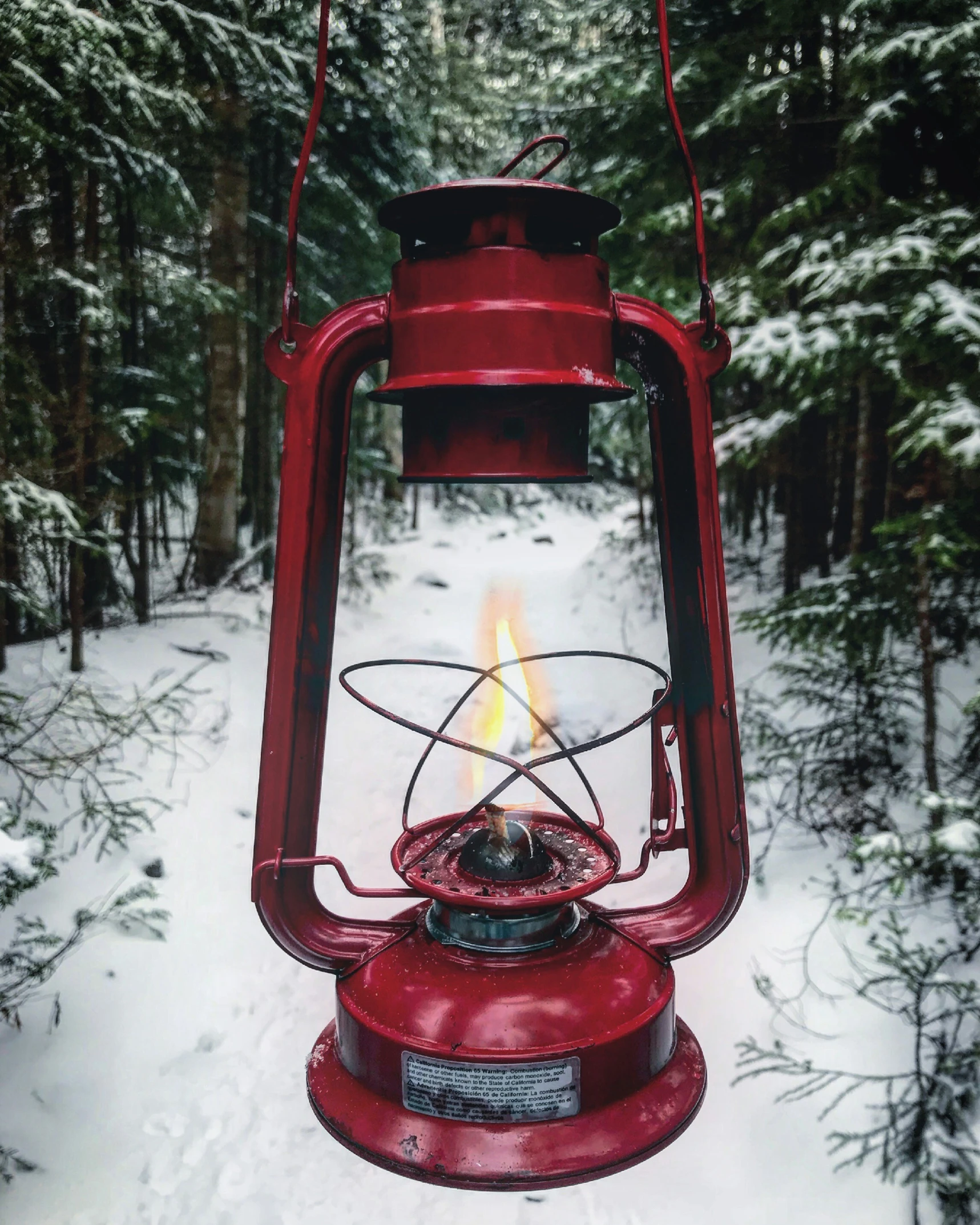 a red lamp in the snow in front of pine trees