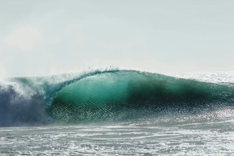 a green wave rolls through the water