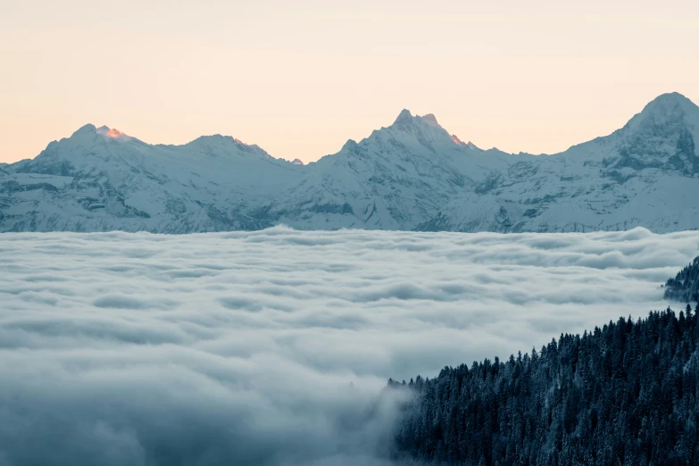 a mountain scene with low lying clouds and some evergreen trees