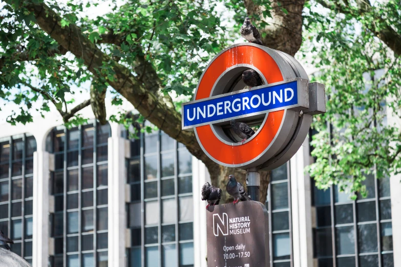 a blue underground sign sits on a stand