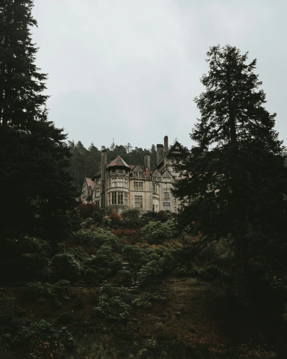 a castle building on a hill in front of trees