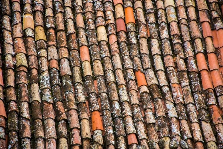 rows of roof tiles in a rustic european style