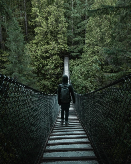 someone walking across the bridge in the middle of the forest