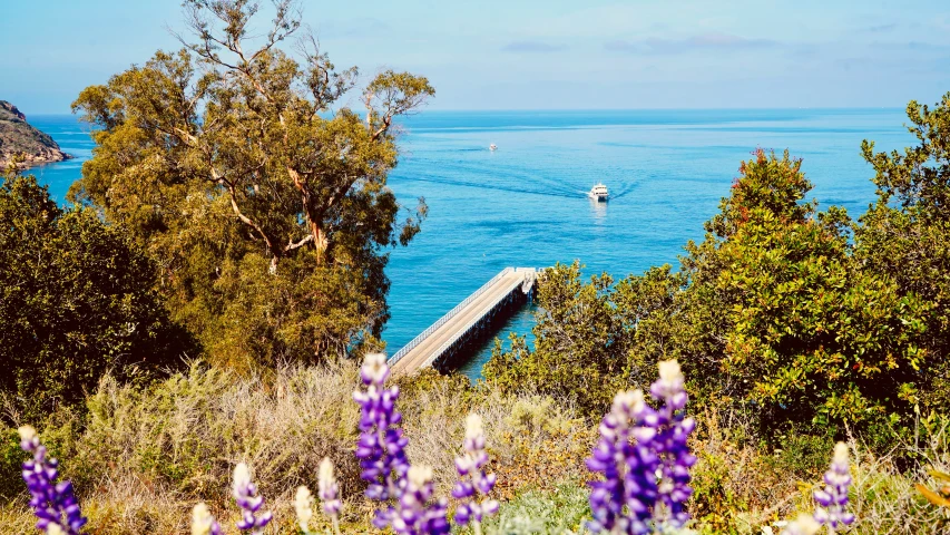 the dock is built on a narrow path over water