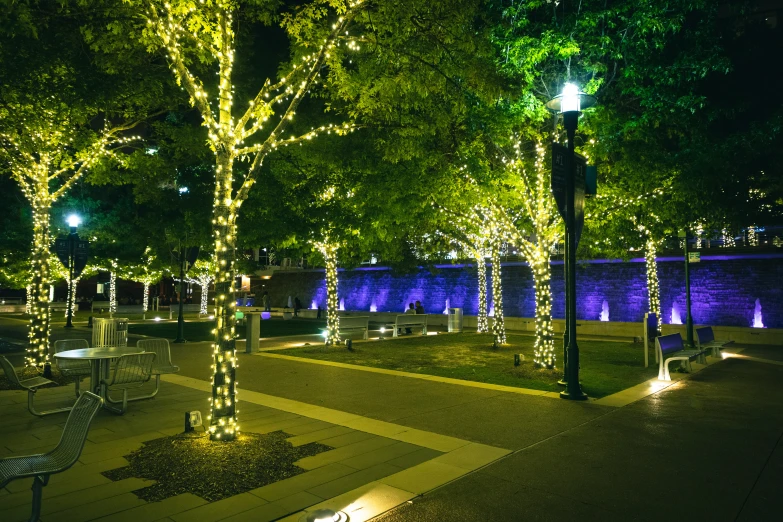 a park with lights on trees and benches