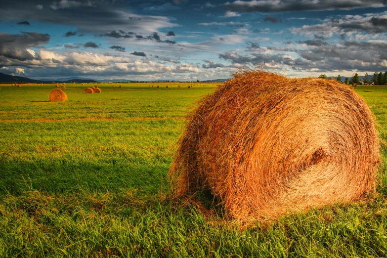 a hay bail in the middle of a field