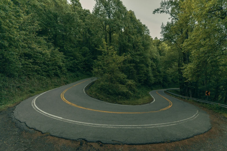 winding road surrounded by tall green trees during the day