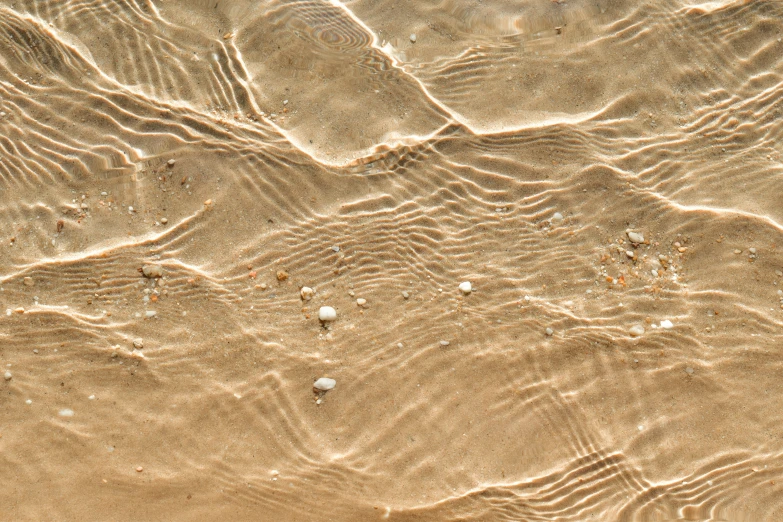 sand and shells on a beach with waves