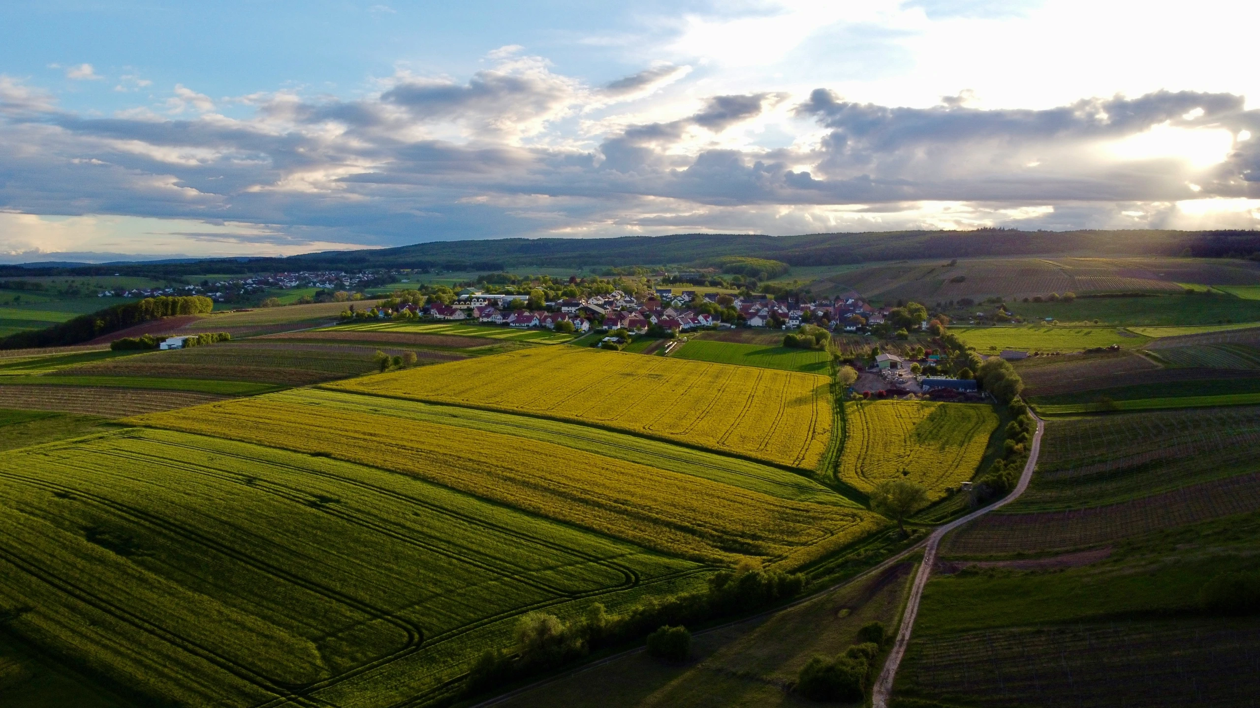 a green landscape with houses and farmland under a cloudy sky