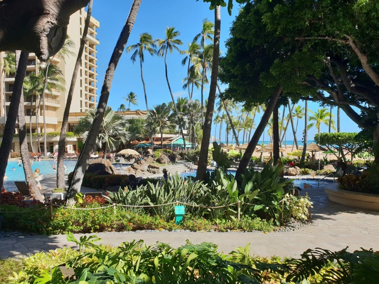 the beach at turtle rock resort on a sunny day