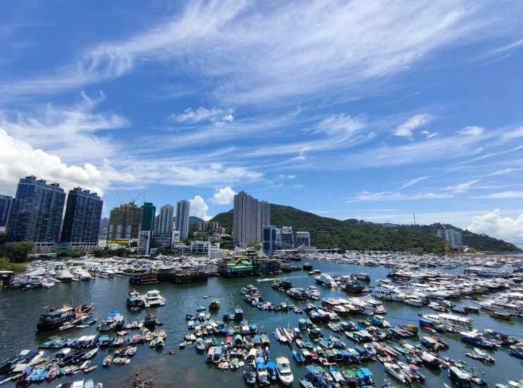 boats docked at the dock in a marina