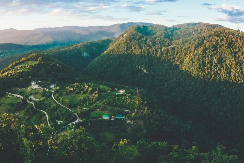 a green hilly area with several trees around