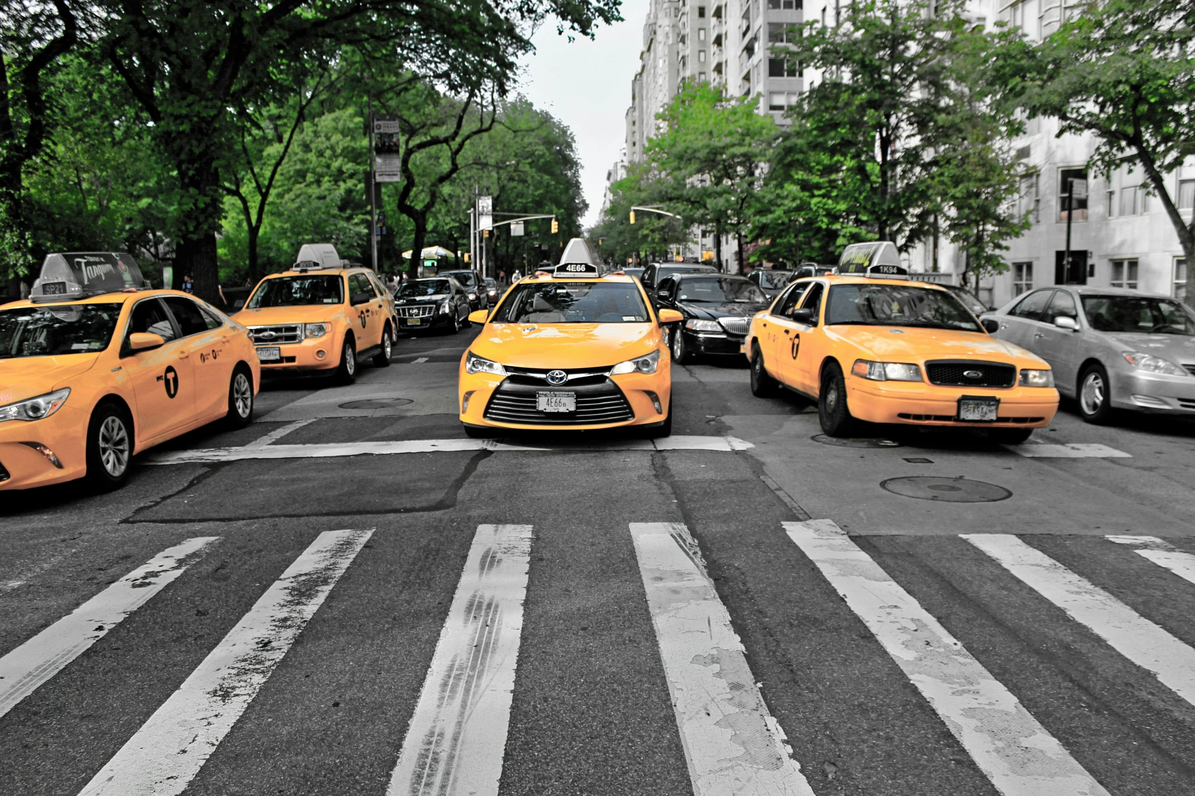 several yellow taxi cabs lined up on the street