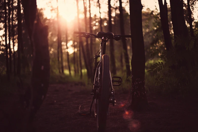 a bike parked in the shade of the setting sun