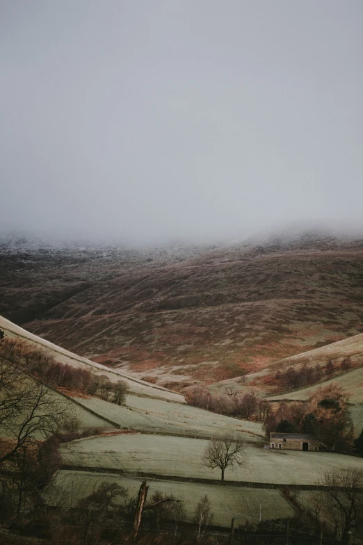 misty view of hilly terrain with trees in foreground