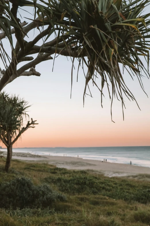 a group of people walking along the beach next to trees