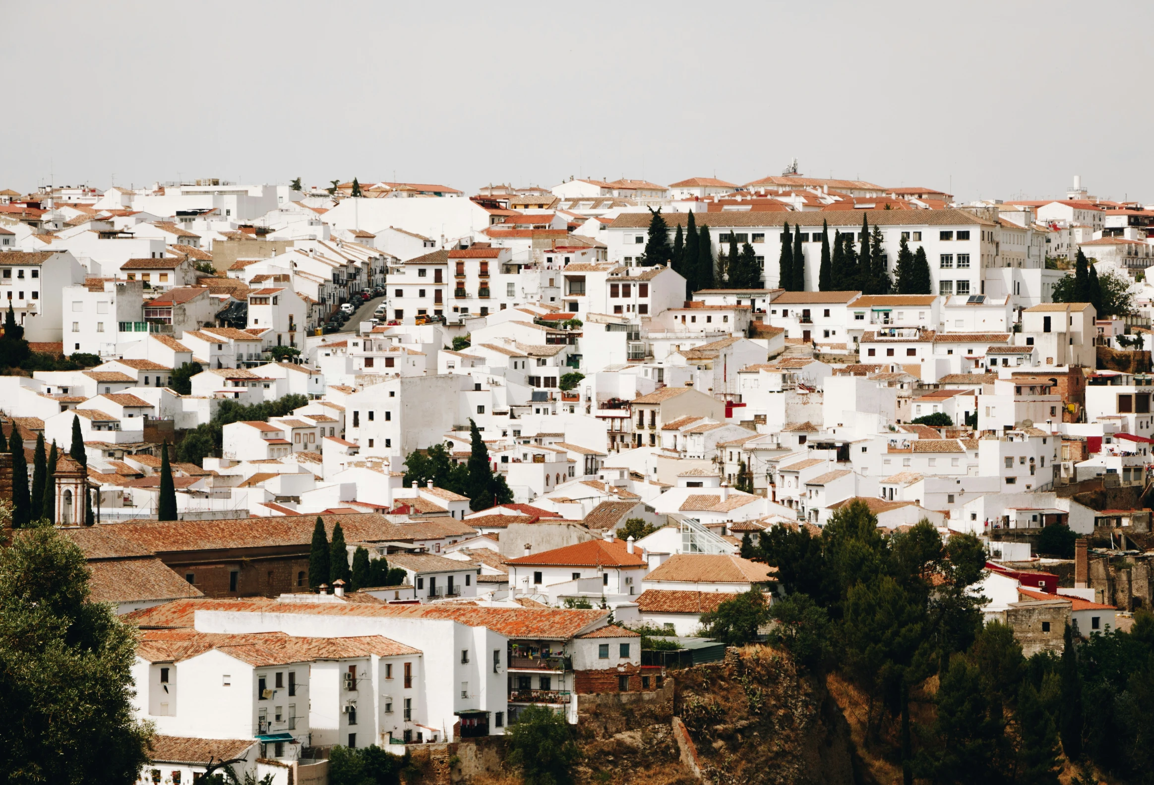 a hillside city of many white buildings and brown roofs