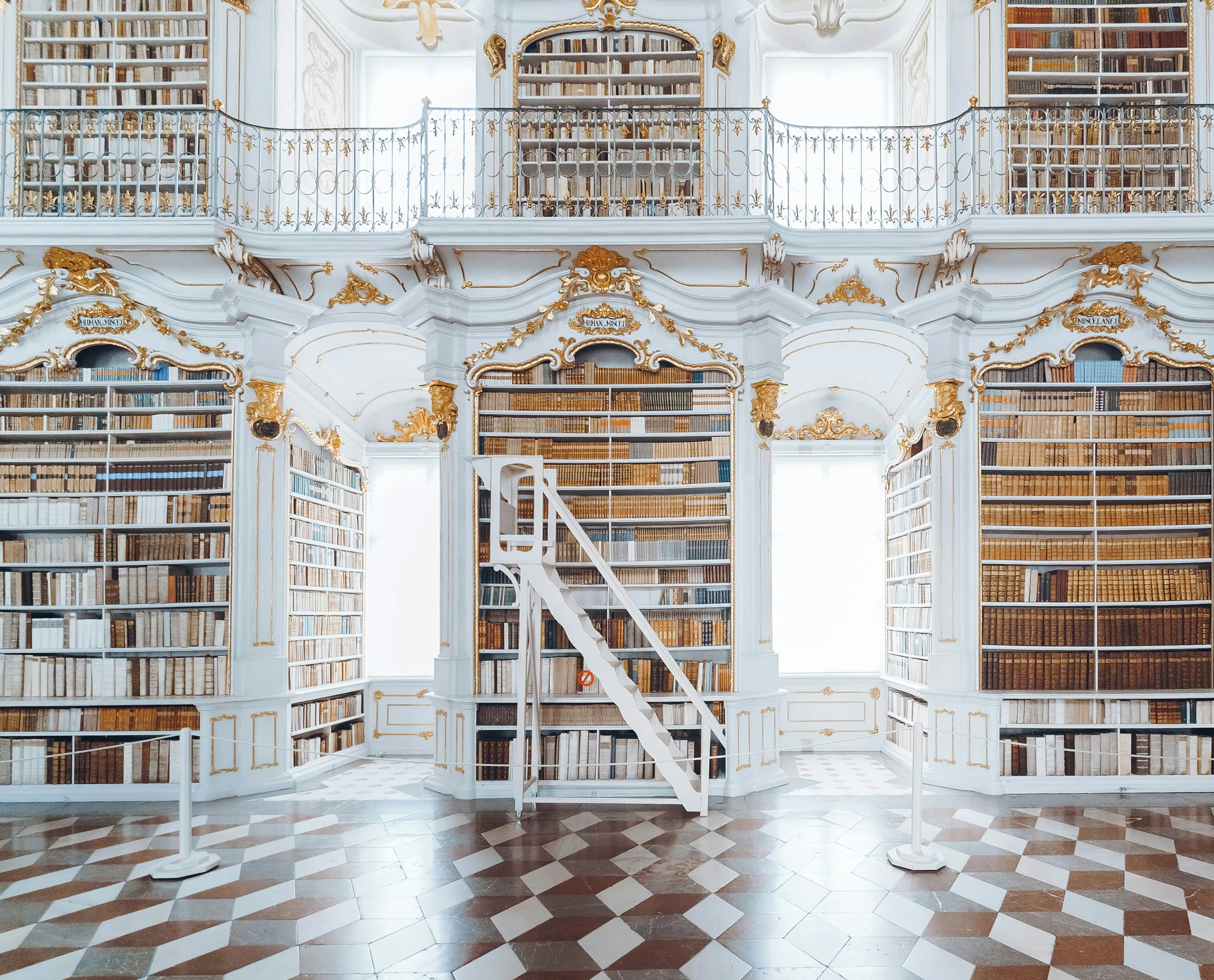 bookshelves in the liry with ornate decor