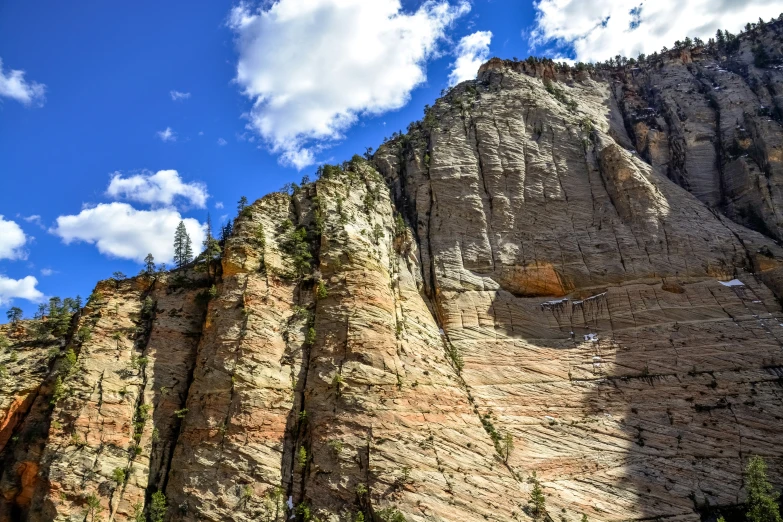 a rocky mountain surrounded by a forest under a blue cloudy sky