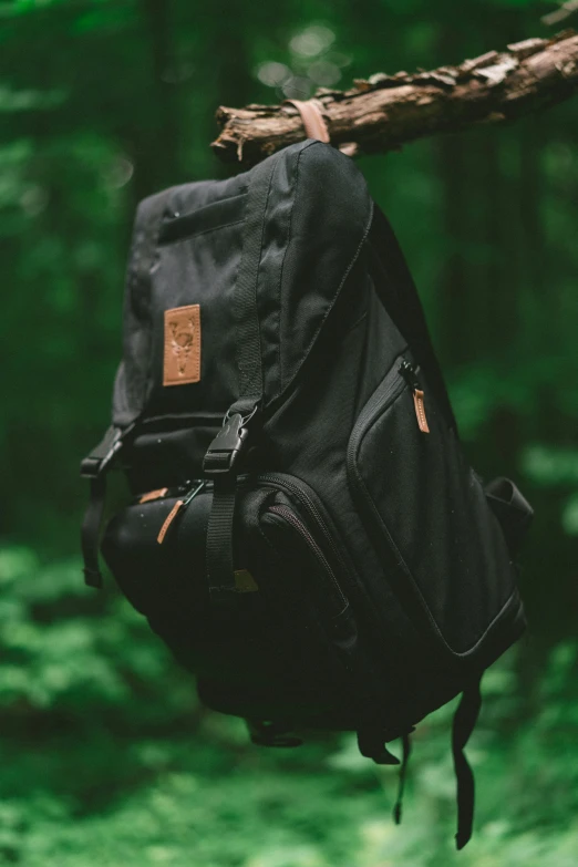 the back end of a black backpack hanging from a tree nch