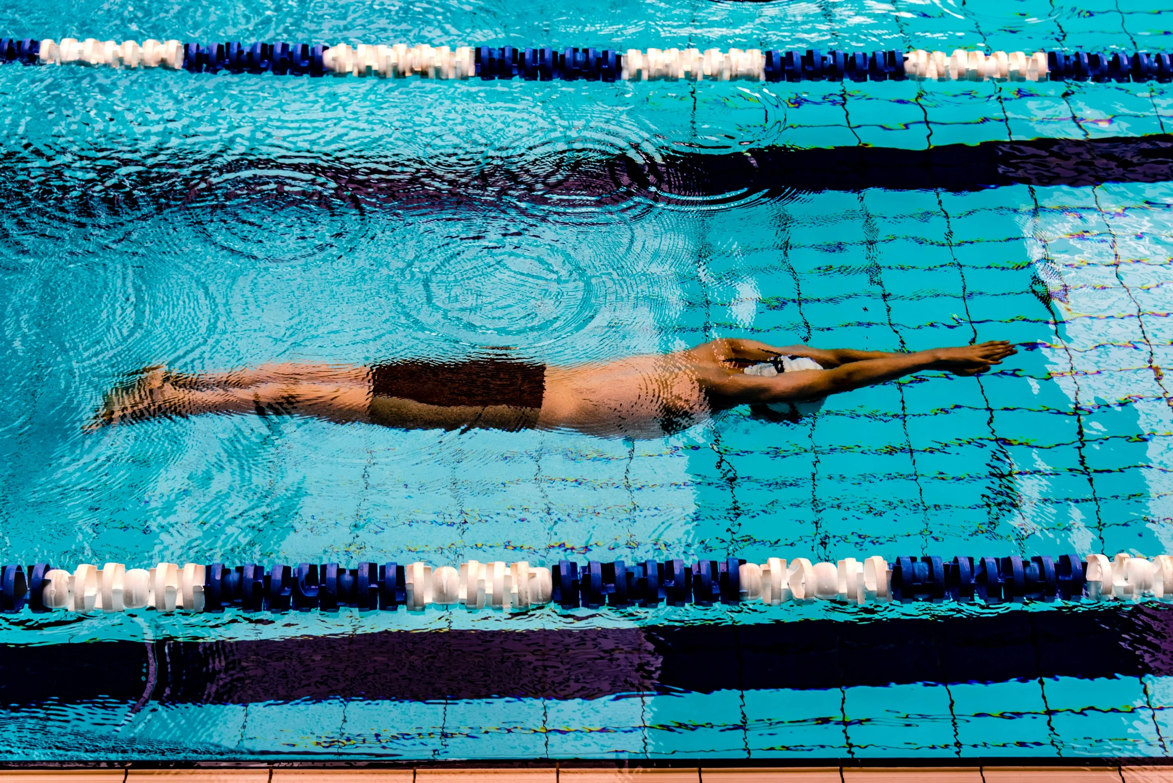 an adult swimmer in a swimming pool