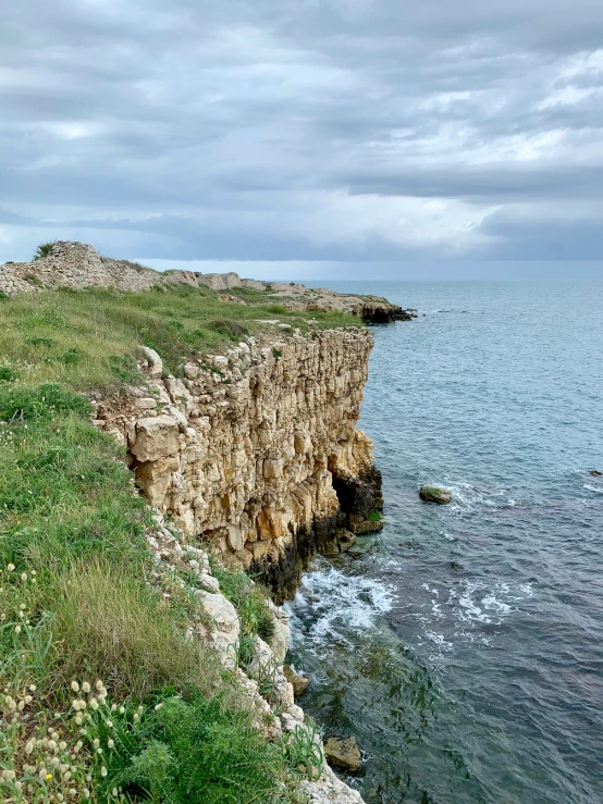 a couple of animals stand by a rocky cliff