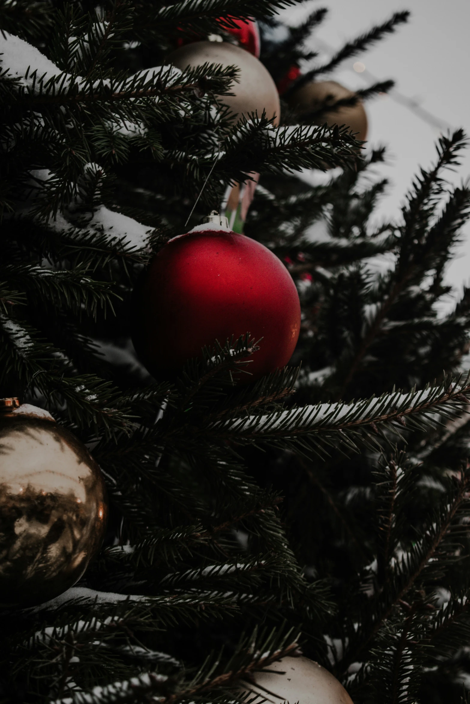 a group of christmas ornament decorations are on the tree