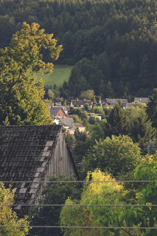 this is an aerial view of trees and houses