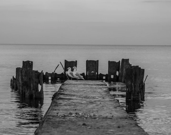 a small dock that is sitting next to some water