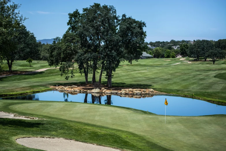 the green and two yellow golf balls are resting near the water