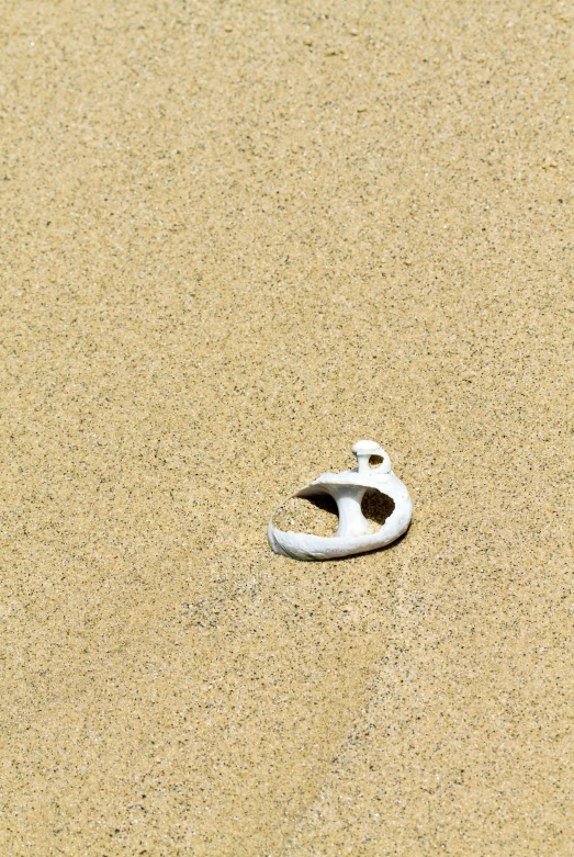 a small object lies on the beach sand