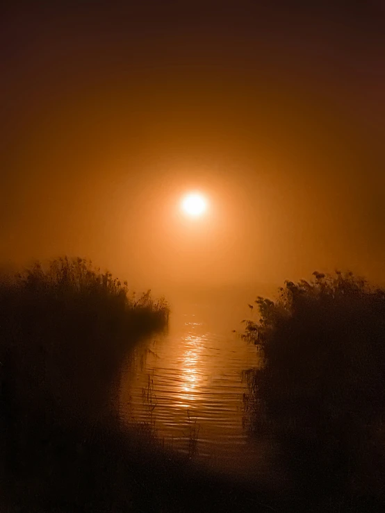 fog covers the water as the sun rises