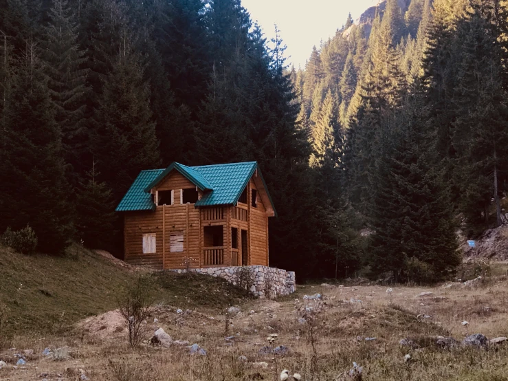 a log cabin set in the woods surrounded by pine trees