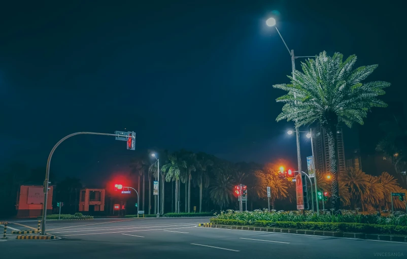 street lights at an intersection with trees and shrubs