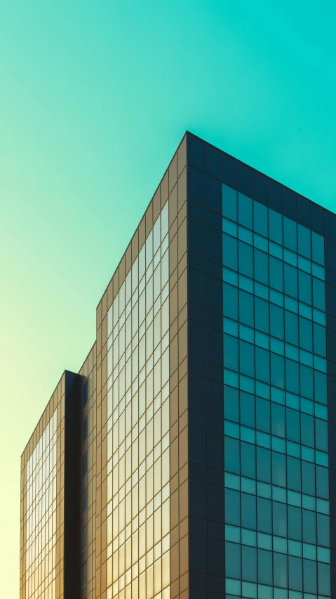 a large building is next to some birds