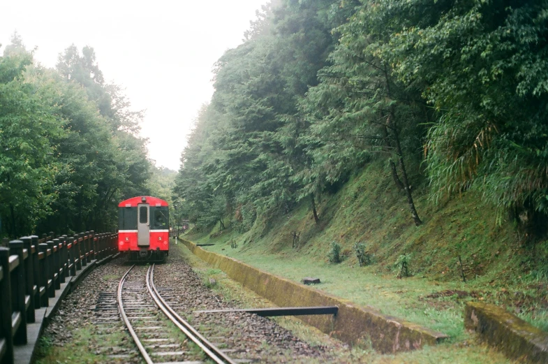 a train is traveling on the tracks through the trees