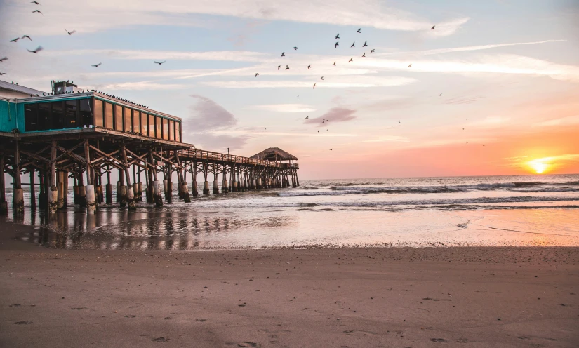 a pier near the ocean with birds flying in the sky