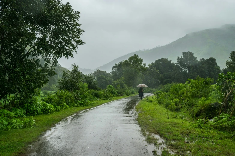 a person with an umbrella stands on the side of a wet road