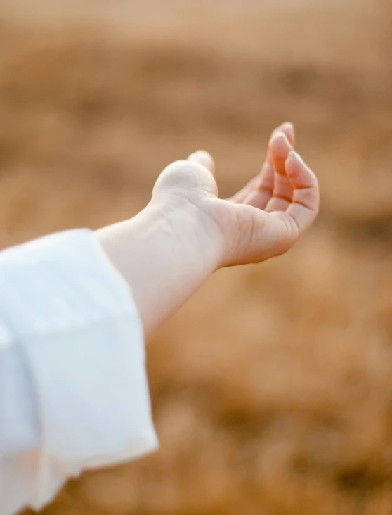 a hand extending out from the ground into the sky