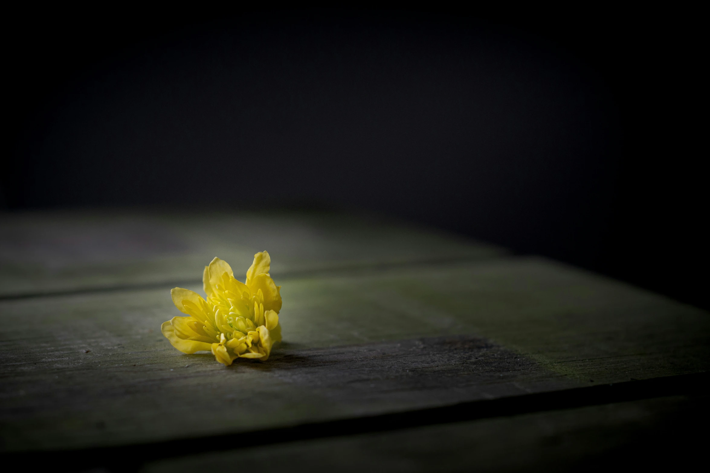 a yellow flower sitting on top of a wooden table