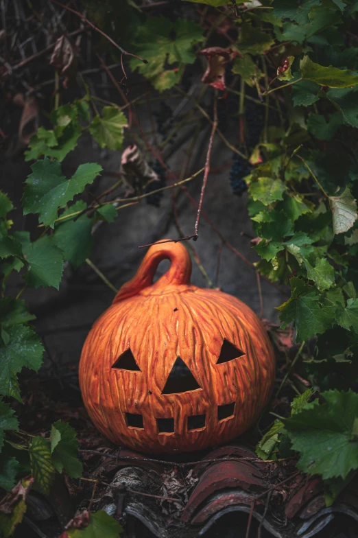 a pumpkin is sitting on the ground with vines surrounding it