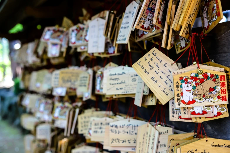 various items with postcards hung on them