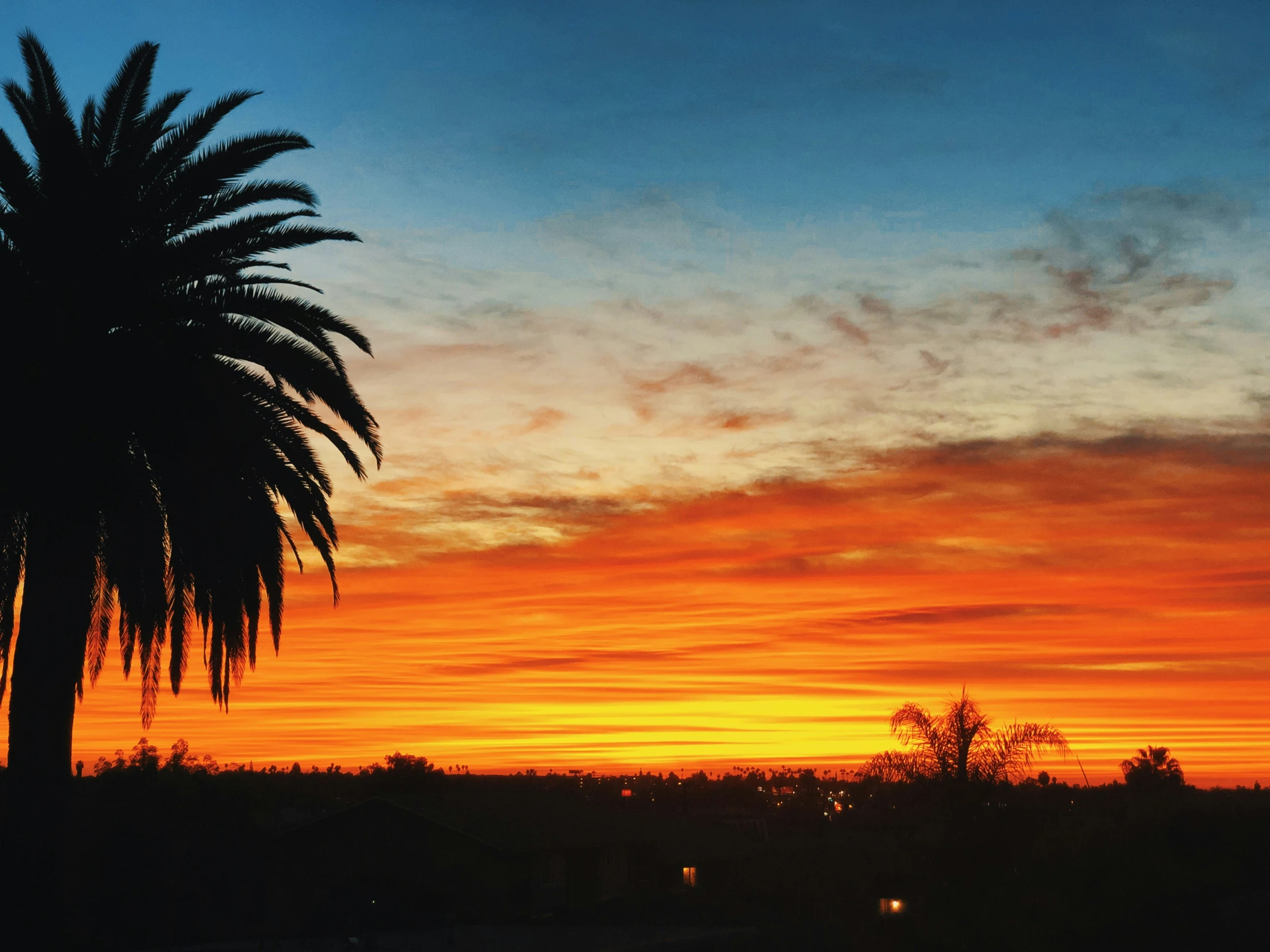 an orange sunset with some black clouds and a large tree