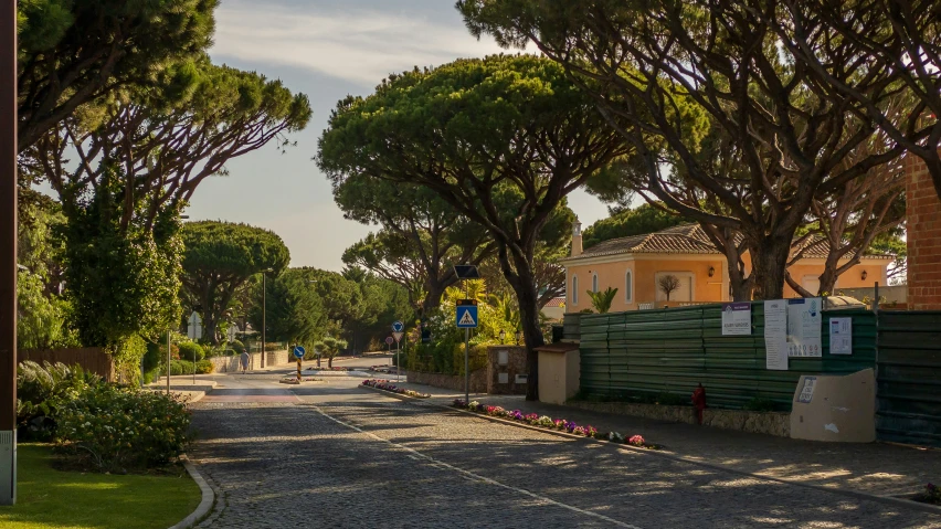 an empty street lined with trees on both sides of it