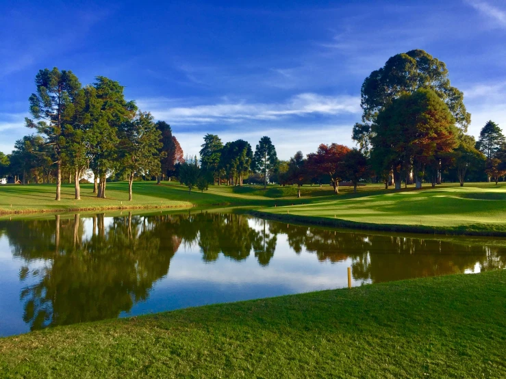 a very nice golf course near some water