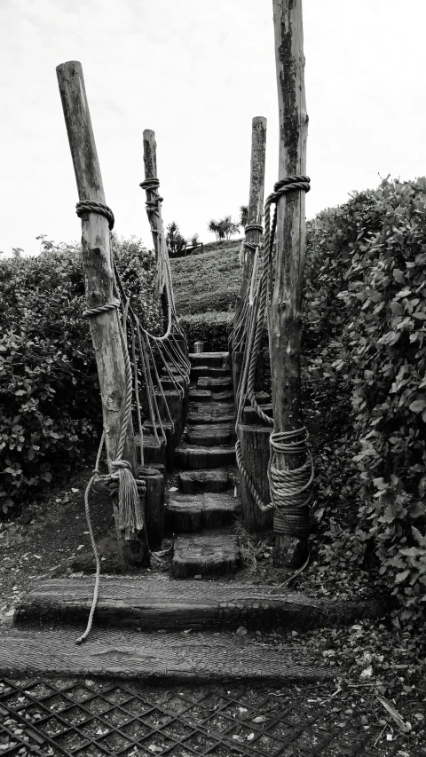 a flight of stairs with wood posts on each side