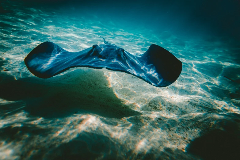 an object in the water on a sandy beach