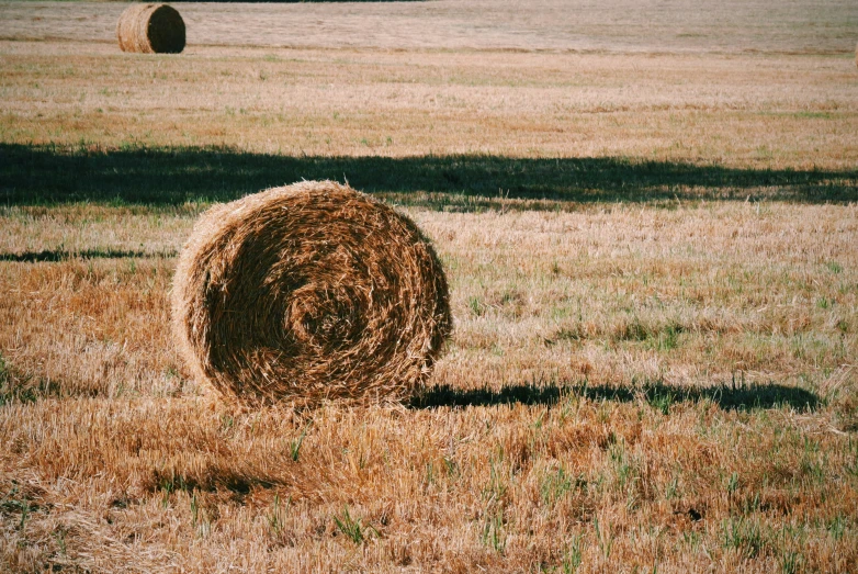 hay bales in the middle of the field in late afternoon